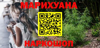 гидра Будённовск