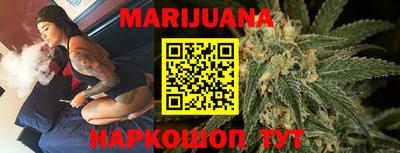 гидра Будённовск
