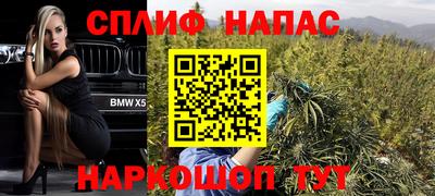 гидра Будённовск