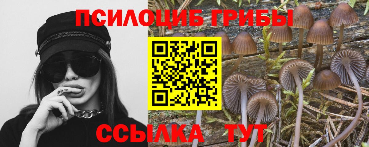 Сергиев Посад  Галлюциногенные грибы GOLDEN TEACHER  Вход с VPN  Псилоцибиновые грибы MAGIC MUSHROOMS 